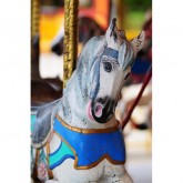 Carousel 2