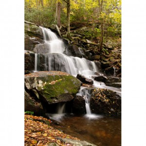 Laurel Falls