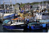 Dingle Harbor