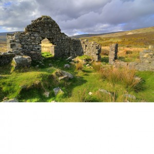 Wicklow Ruins